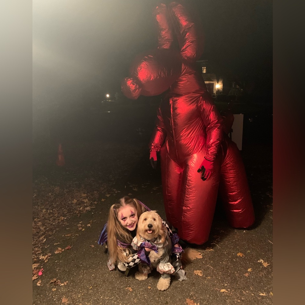 Spirit Red Inflatable Balloon Dog Costume - Picture 6 of 9